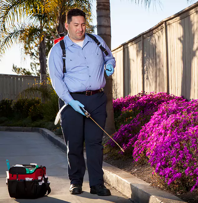 Why Choose Marietta Pest Control Inc in Marietta, GA?
