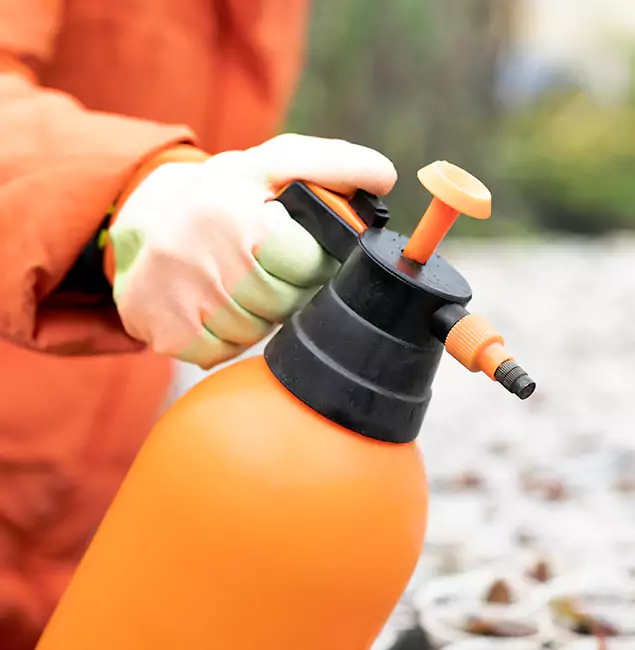 Why Choose Marietta Pest Control Inc for Orange Termite Treatment in Marietta, GA?