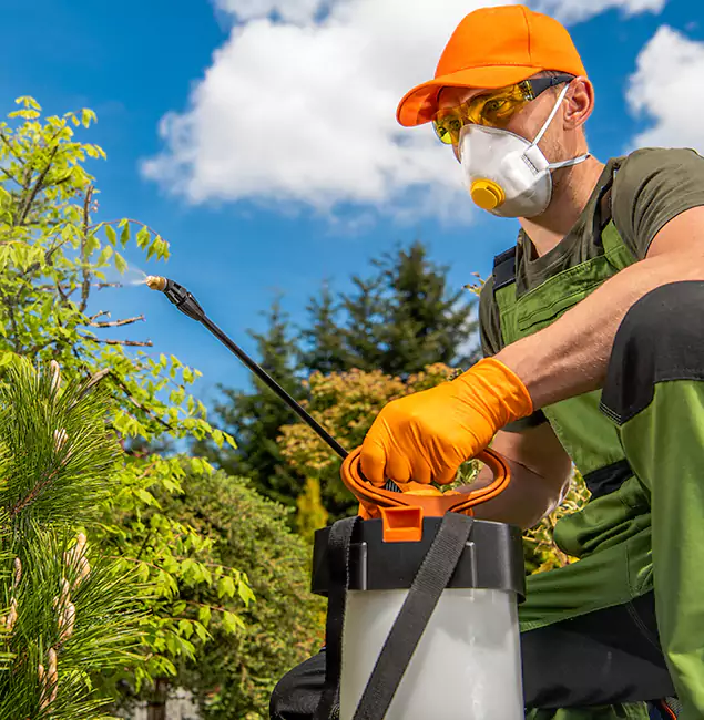 Why Choose Marietta Pest Control Inc for Outdoor Pest Control in Marietta, GA?