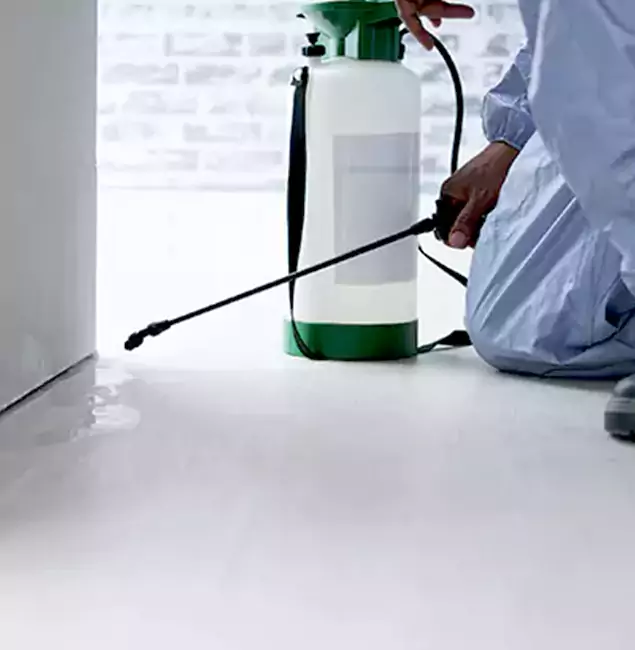 Why Choose Marietta Pest Control Inc for Rat Exterminator in Marietta, GA?