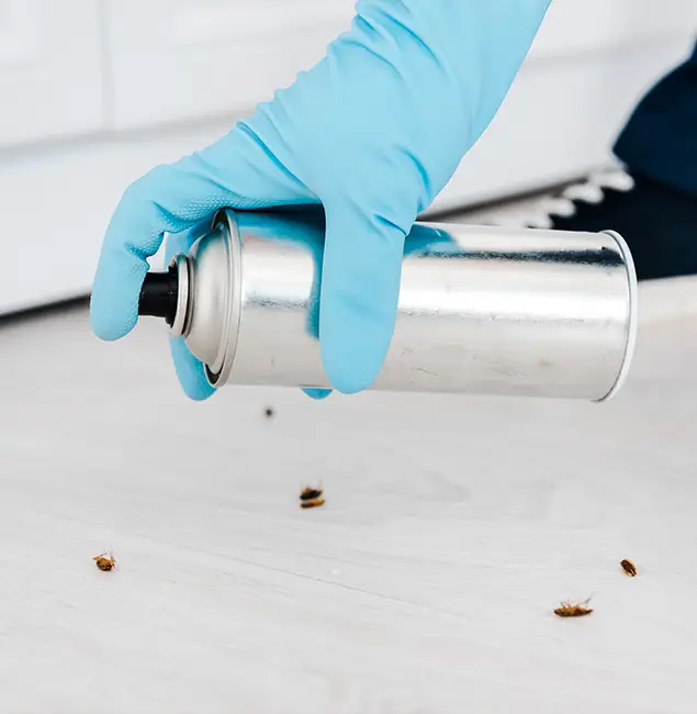 Why Choose Marietta Pest Control Inc for Safe Bed Bug Treatment in Marietta, GA?