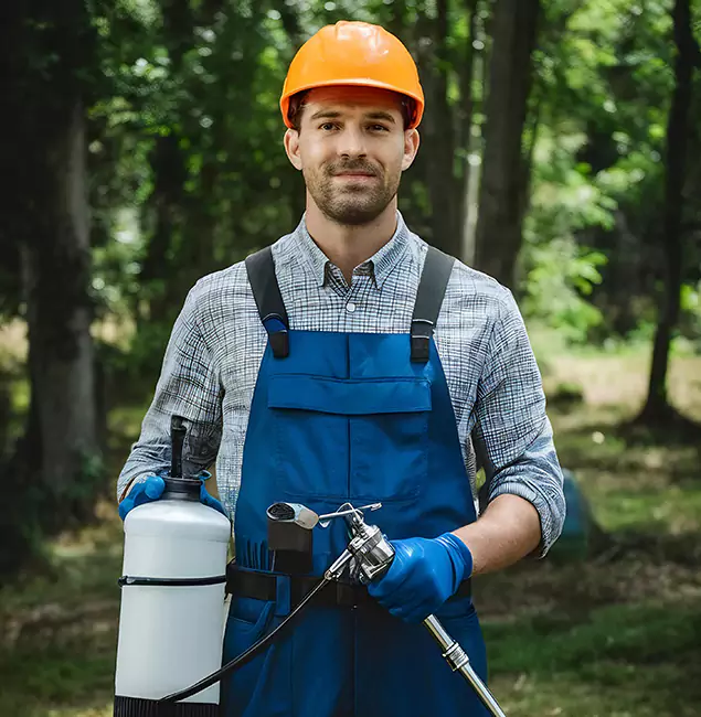 Why Choose Marietta Pest Control Inc for Little Black Ant Control in Marietta, GA?