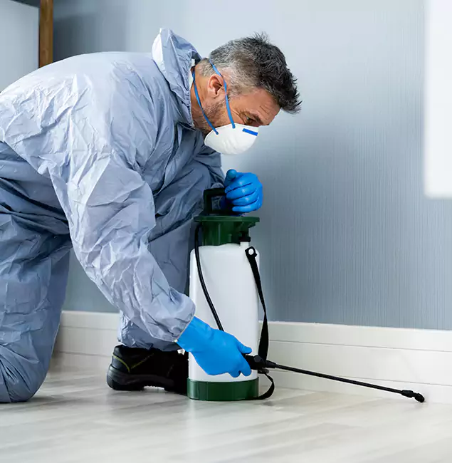 Why Choose Marietta Pest Control Inc for Subterranean Termites Treatment in Marietta, GA?