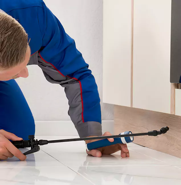 Why Marietta Residents Choose Marietta Pest Control Inc to Get Rid of Sugar Ants?