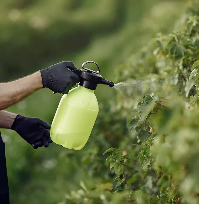 Why Marietta Homeowners Choose Marietta Pest Control Inc for Yard Tick Treatment?
