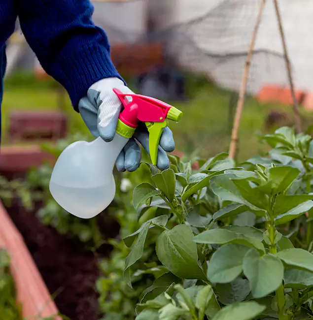 Why Marietta Relies on Marietta Pest Control Inc for Wasp Control Services?