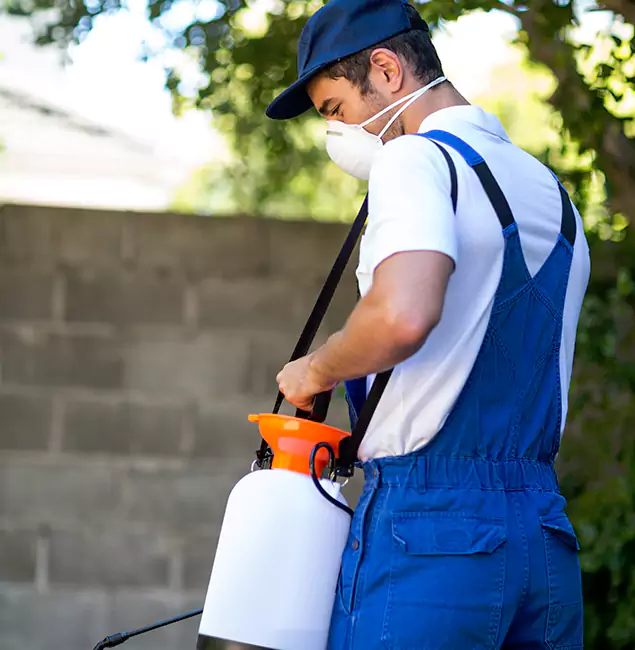 Why Marietta Pest Control Inc Is the Right Choice for Yellow Jacket Removal in Marietta, GA?
