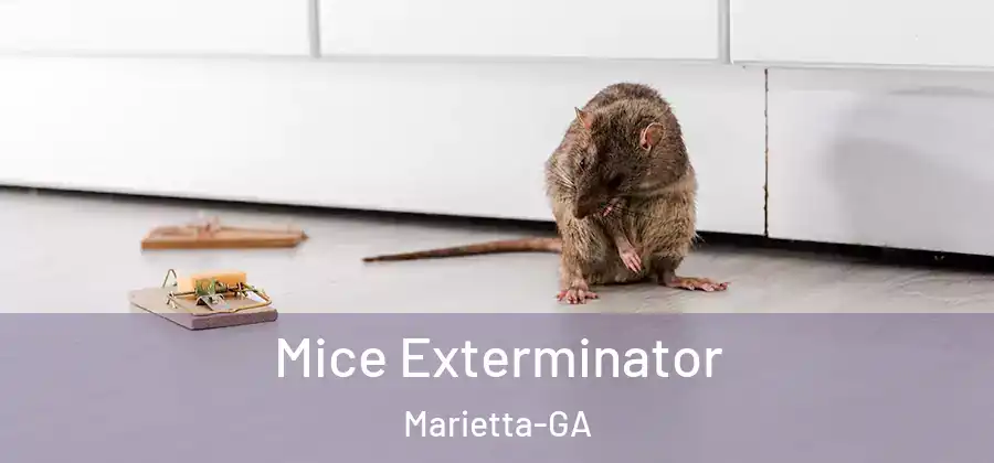  Mice Exterminator Marietta-GA
