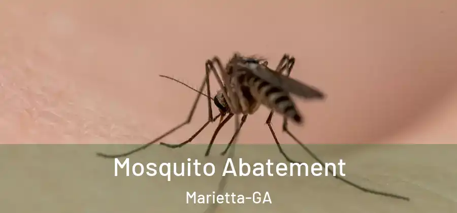  Mosquito Abatement Marietta-GA