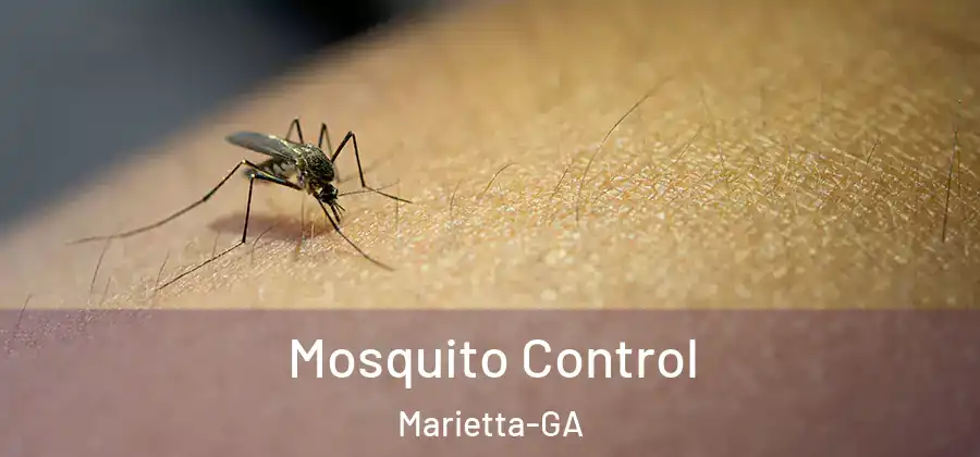 Mosquito Control Marietta-GA
