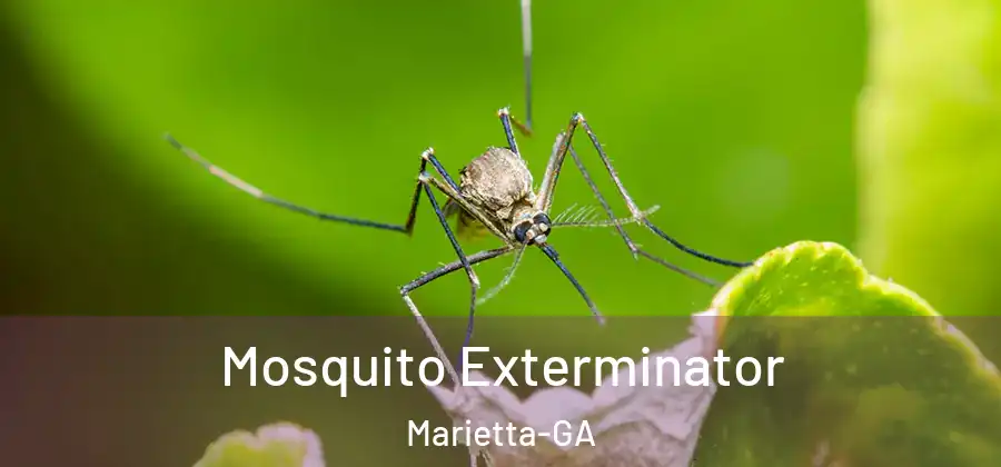 Mosquito Exterminator Marietta-GA