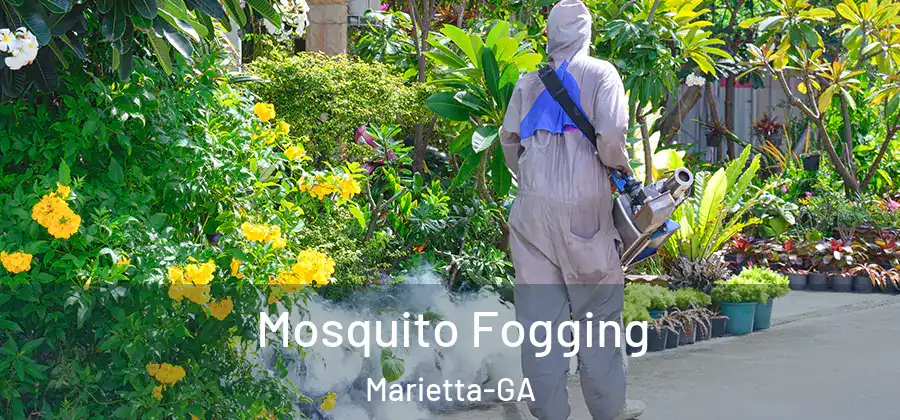  Mosquito Fogging Marietta-GA