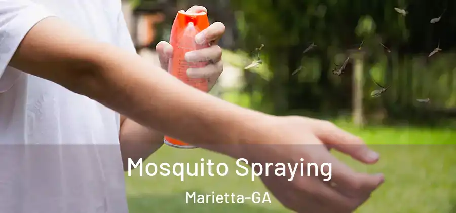 Mosquito Spraying Marietta-GA
