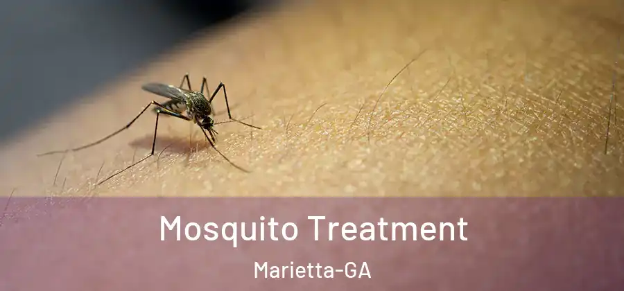  Mosquito Treatment Marietta-GA