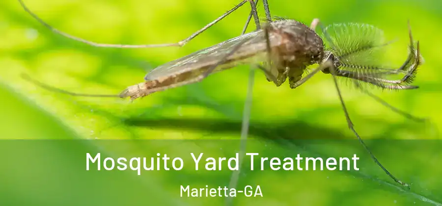  Mosquito Yard Treatment Marietta-GA