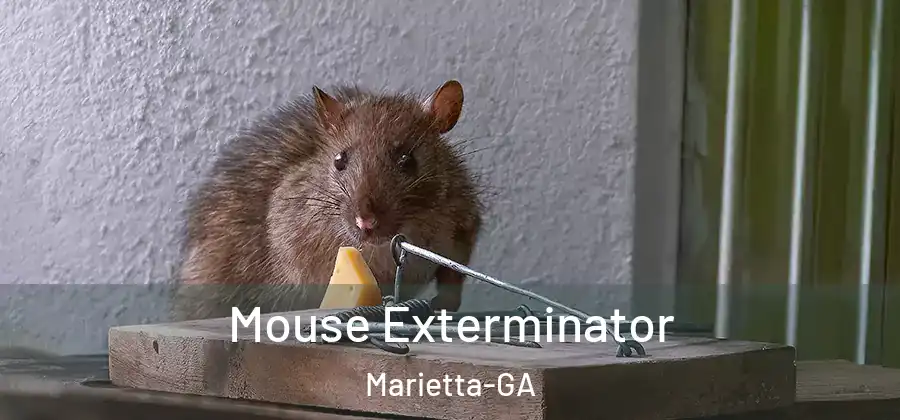 Mouse Exterminator Marietta-GA