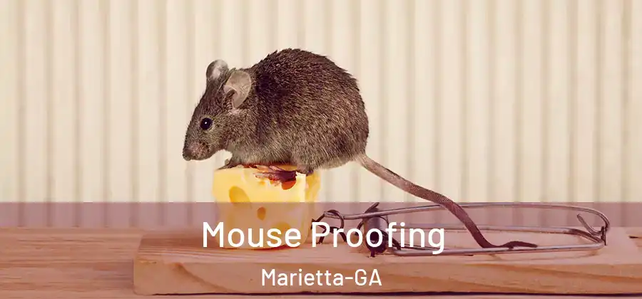 Mouse Proofing Marietta-GA