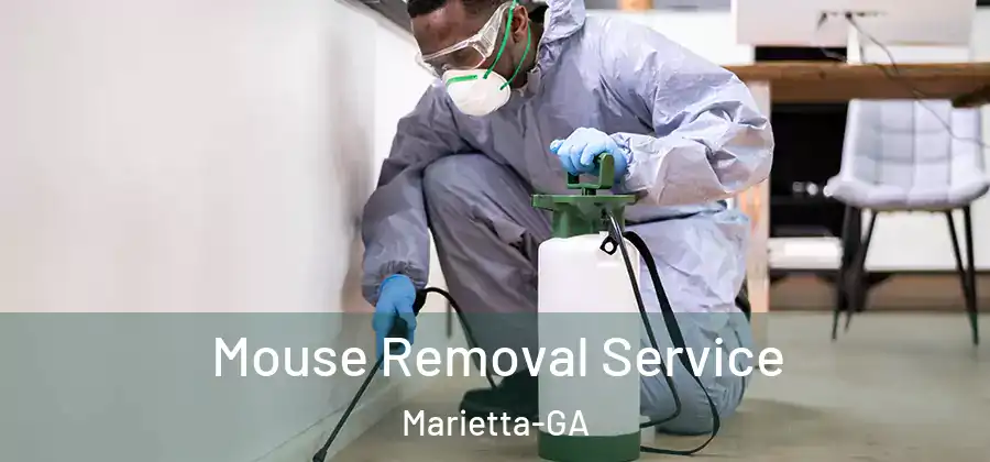  Mouse Removal Service Marietta-GA