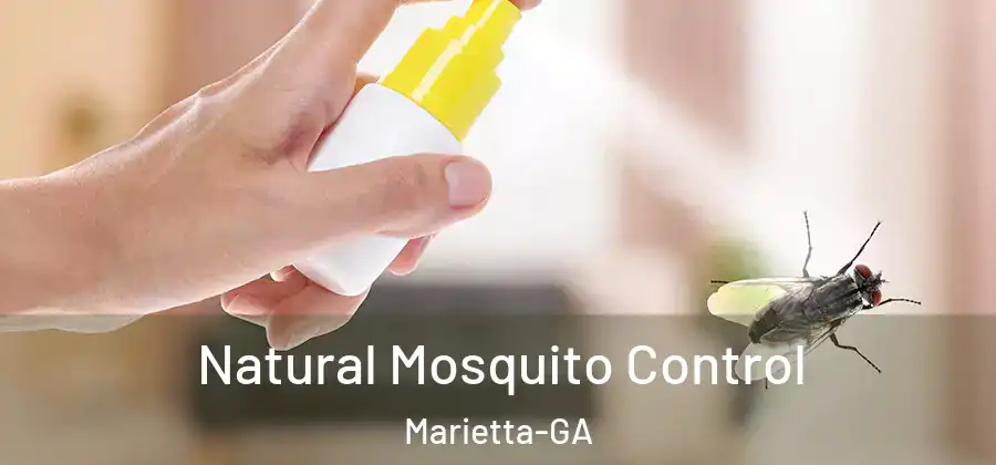 Natural Mosquito Control Marietta-GA