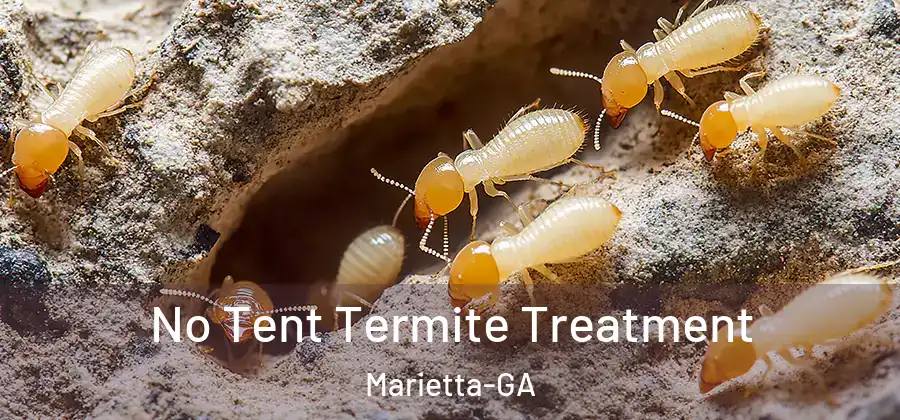  No Tent Termite Treatment Marietta-GA