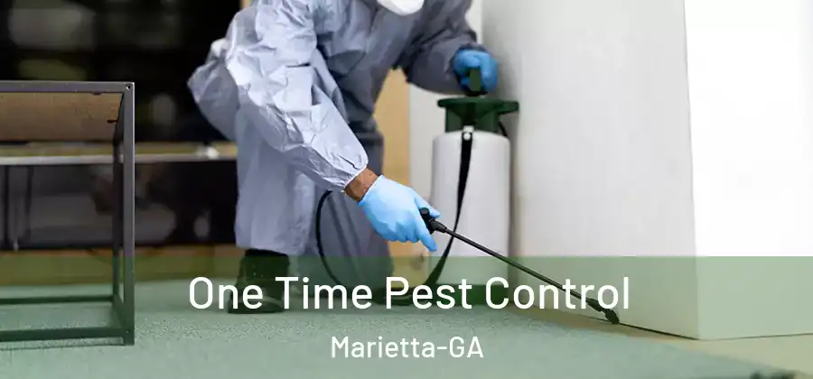 One Time Pest Control Marietta-GA