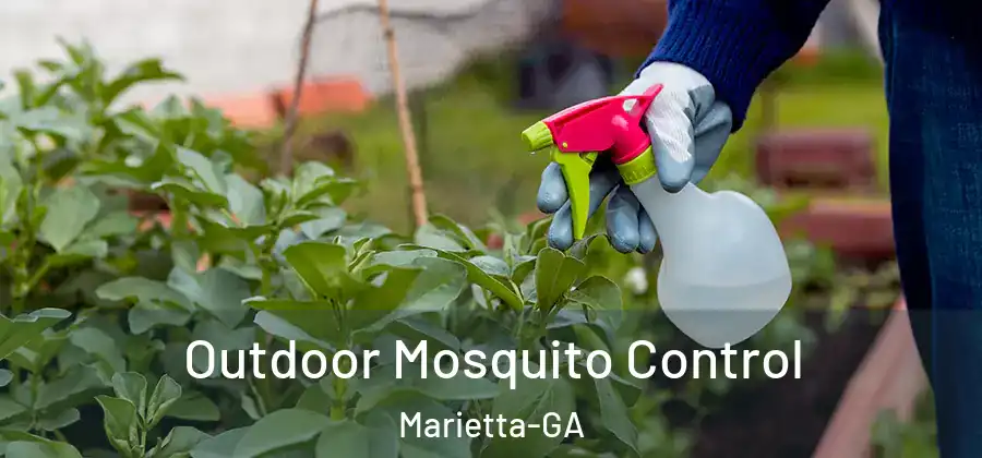  Outdoor Mosquito Control Marietta-GA