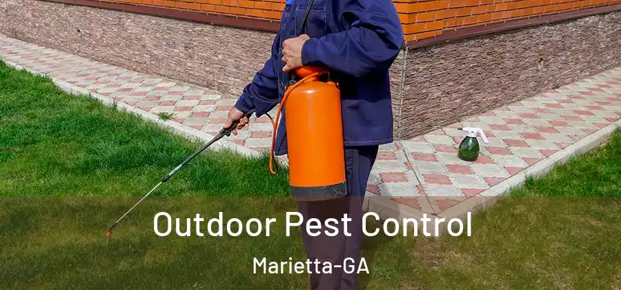 Outdoor Pest Control Marietta-GA