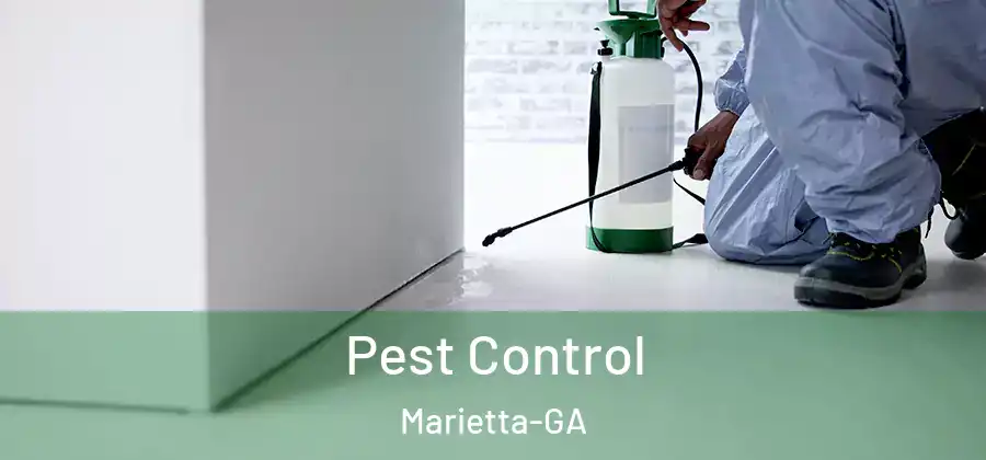  Pest Control Marietta-GA