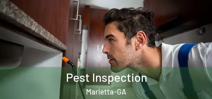  Pest Inspection Marietta-GA