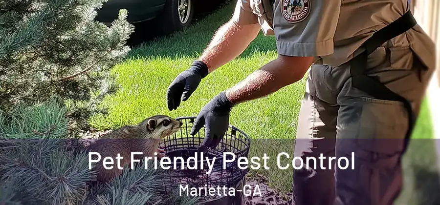 Pet Friendly Pest Control Marietta-GA