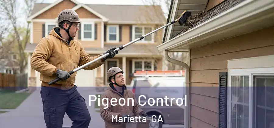 Pigeon Control Marietta-GA