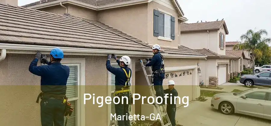  Pigeon Proofing Marietta-GA