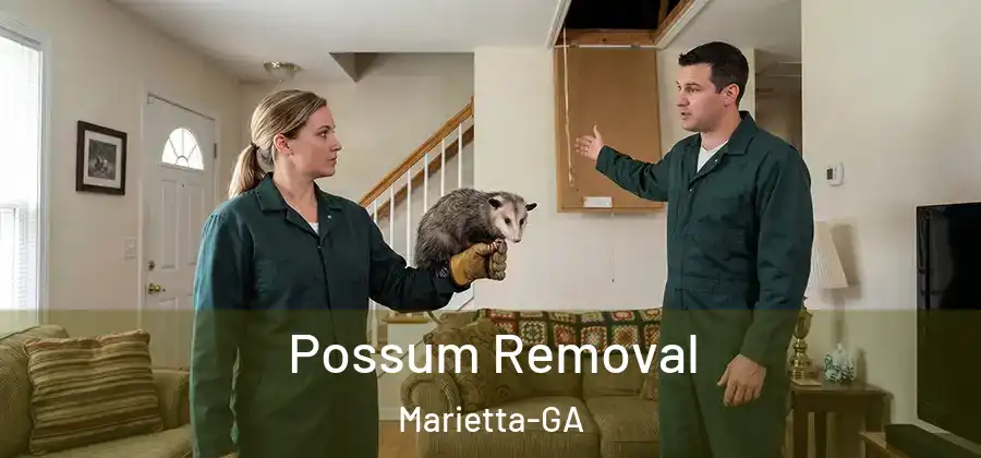 Possum Removal Marietta-GA