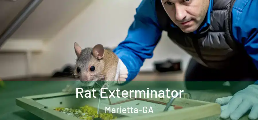 Rat Exterminator Marietta-GA