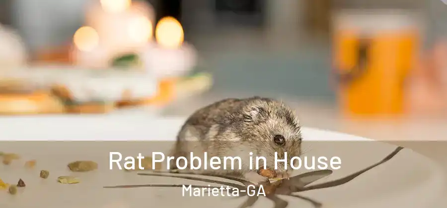 Rat Problem in House Marietta-GA