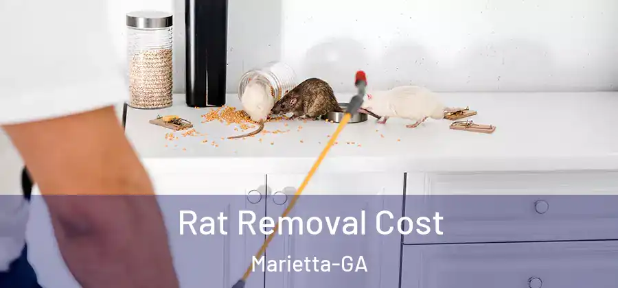 Rat Removal Cost Marietta-GA