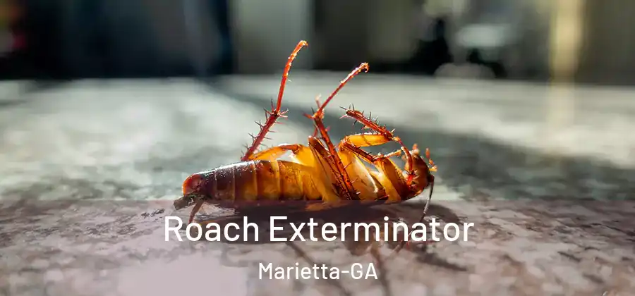 Roach Exterminator Marietta-GA