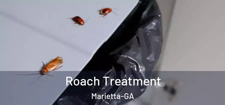  Roach Treatment Marietta-GA