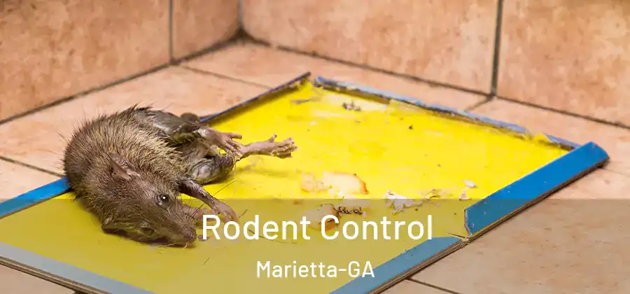 Rodent Control Marietta-GA