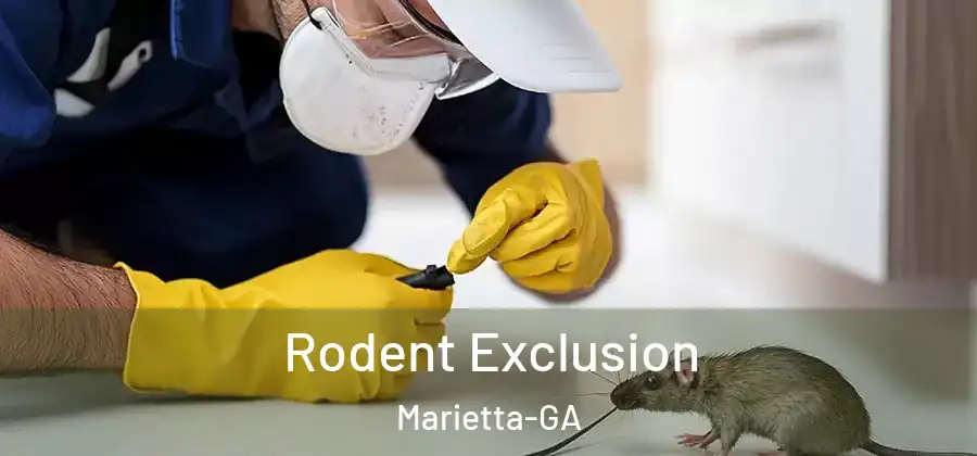  Rodent Exclusion Marietta-GA