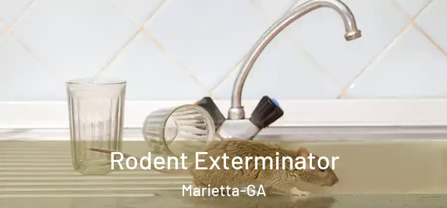  Rodent Exterminator Marietta-GA