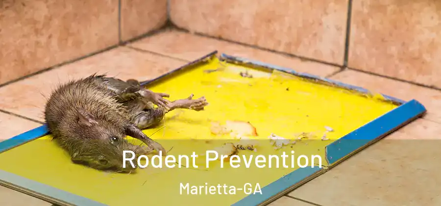  Rodent Prevention Marietta-GA