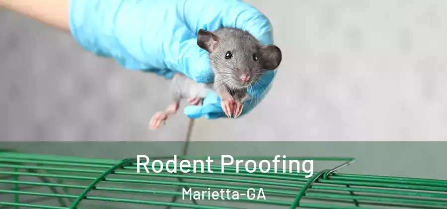 Rodent Proofing Marietta-GA