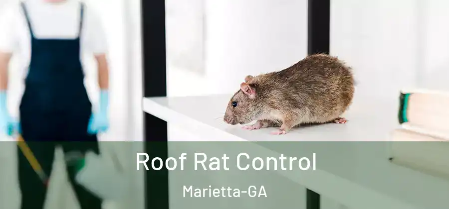  Roof Rat Control Marietta-GA