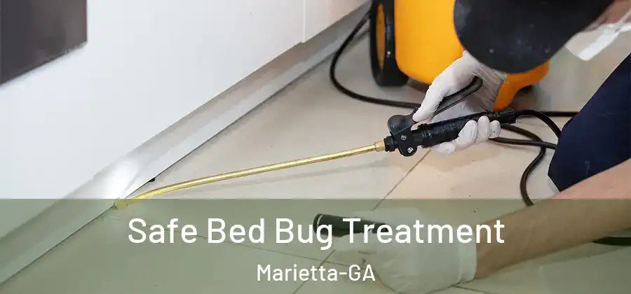  Safe Bed Bug Treatment Marietta-GA