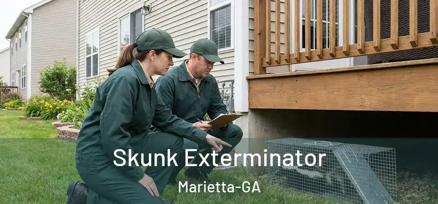 Skunk Exterminator Marietta-GA