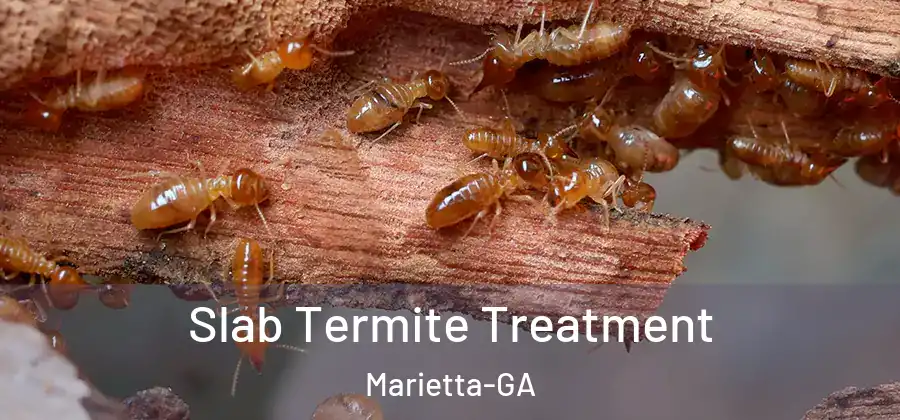  Slab Termite Treatment Marietta-GA
