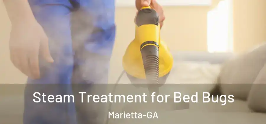  Steam Treatment for Bed Bugs Marietta-GA