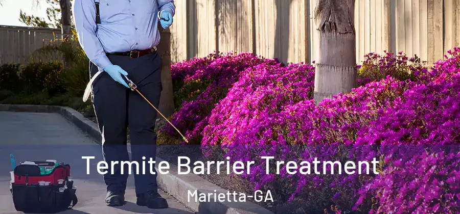  Termite Barrier Treatment Marietta-GA