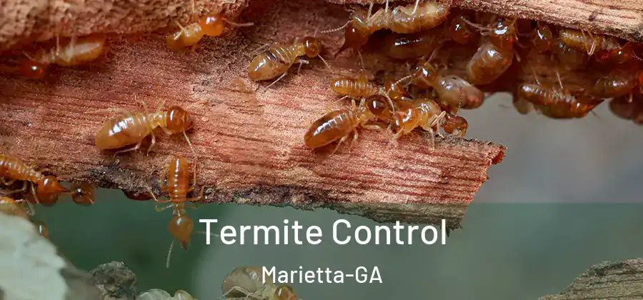 Termite Control Marietta-GA